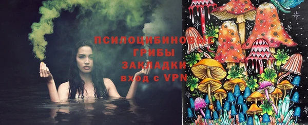PSILOCYBIN Арсеньев