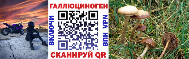 как найти закладки  Макушино  Галлюциногенные грибы MAGIC MUSHROOMS 